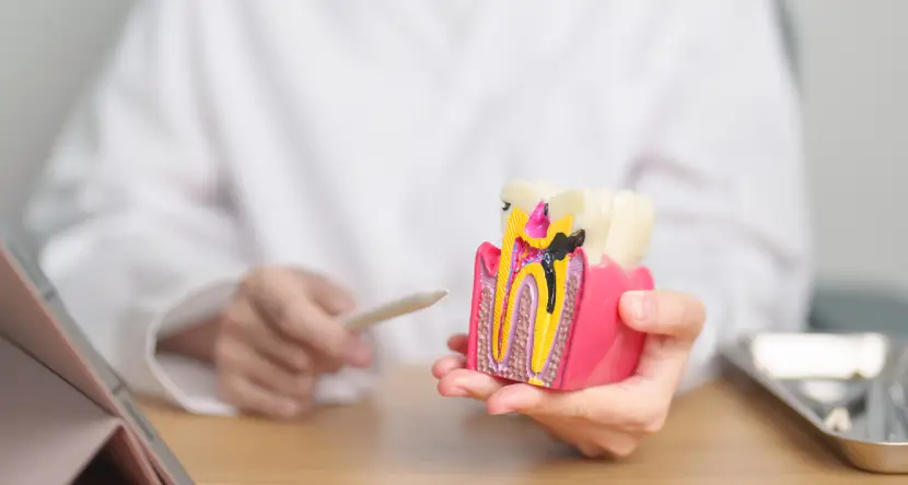 Root-Canal-Treatment-in-Edmonton